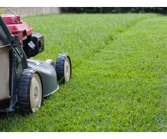 Commercial Property Maintenance Service – Dependable Lawn Care | free-classifieds-canada.com - 1