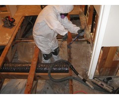 Mississauga Mold Removal Services | free-classifieds-canada.com - 2