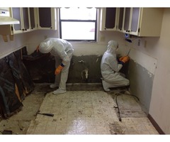 Mississauga Mold Removal Services | free-classifieds-canada.com - 3