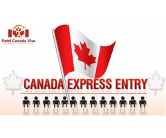 Express Entry Visa | Patel Canada Visa Consultancy | free-classifieds-canada.com - 1