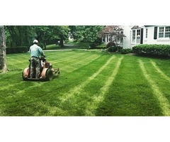 Lawn Care and Property Maintenance Mississauga & Oakville- Dependable Lawn Care | free-classifieds-canada.com - 1