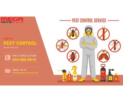Pest Control Richmond | free-classifieds-canada.com - 1