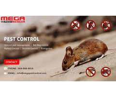 Pest Control Richmond | free-classifieds-canada.com - 3