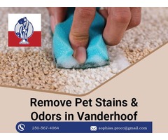 Remove Pet Stains & Odors in Vanderhoof | free-classifieds-canada.com - 1