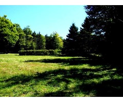 SERVICED LAND FOR SALE (just under an acre)- Digby //Bear River area in NOVA SCOTIA  $ 21,000. US | free-classifieds-canada.com - 3