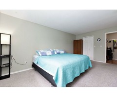 Appartment for rent | free-classifieds-canada.com - 4