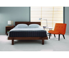 Contemporary bed frames - BedBreeZzz | free-classifieds-canada.com - 1