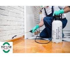 Pest Control Services Surrey, Langley, Abbotsford, Burnaby | Top Line | free-classifieds-canada.com - 1