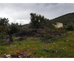 residential lot overlooking sofiko bay in greece | free-classifieds-canada.com - 3