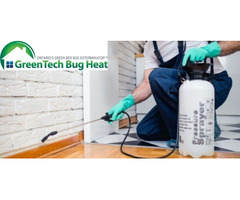 Bed Bug Pest Control in Mississauga | free-classifieds-canada.com - 4