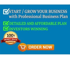 Investor-Ready Business Plan in 7 days | free-classifieds-canada.com - 2