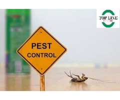 Rat control services surrey | Pest Control Service | free-classifieds-canada.com - 1