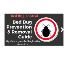 Bed Bug Exterminators | free-classifieds-canada.com - 1