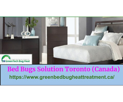 Bed Bug Exterminators | free-classifieds-canada.com - 2