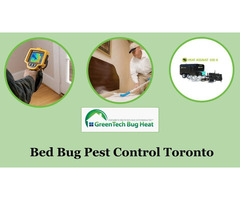 Bed Bug Exterminators | free-classifieds-canada.com - 3