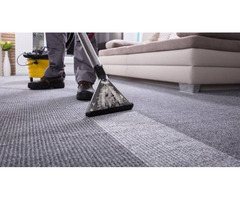 Expert Carpet Cleaning Services | free-classifieds-canada.com - 1
