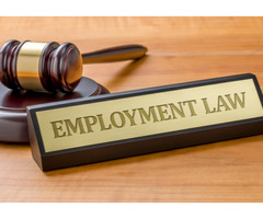 Labour & Employment Law Solicitor | free-classifieds-canada.com - 2
