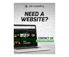 Cat Marketing: Graphic, Web Design & Animation Services | free-classifieds-canada.com - 1