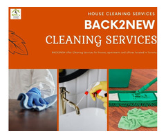 Upholstery Cleaning   Services in Mississauga. | free-classifieds-canada.com - 3