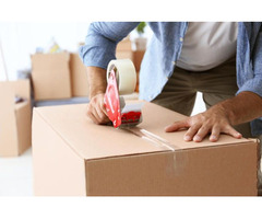 Looking for professional moving service in Edmonton | free-classifieds-canada.com - 3