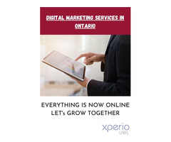 Digital Marketing Services in Ontario | free-classifieds-canada.com - 1