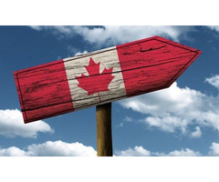 Intra Company Transfer Canada – Kennedy Immigration Solutions | free-classifieds-canada.com - 1