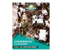 Ideal Maids - Cleaning Service Company | free-classifieds-canada.com - 1