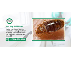 Bed Bugs Treatment | free-classifieds-canada.com - 1