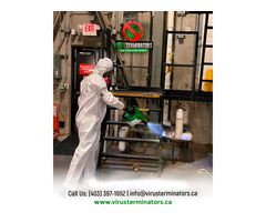 Commercial & Industrial Electrostatic Disinfection Service-Virus Terminators | free-classifieds-canada.com - 1