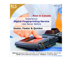 Brampton Digital Fingerprinting Service | free-classifieds-canada.com - 1