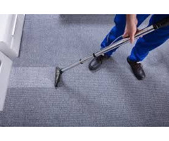 Carpet Cleaning Services for Auto Accident Victims | free-classifieds-canada.com - 1