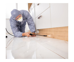  Best Company for Mice removal Toronto | free-classifieds-canada.com - 1