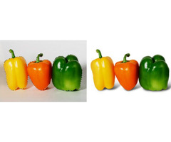 Clipping Path Services | free-classifieds-canada.com - 1