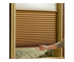 Cellular Roller Shade | Cellular Window Blinds – Lifestyle Home Solutions | free-classifieds-canada.com - 2
