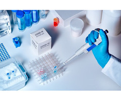 PCR test service | free-classifieds-canada.com - 1