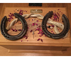 horse cremation | free-classifieds-canada.com - 1