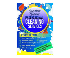Cleaning Services in Ottawa | free-classifieds-canada.com - 1