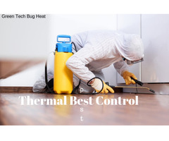 Bed Bug Heat Treatment Toronto | free-classifieds-canada.com - 1