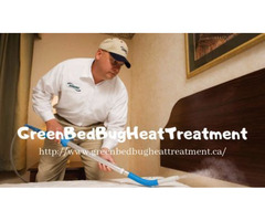 Bed Bug Heat Treatment Toronto | free-classifieds-canada.com - 3