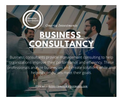 Business Consultant Toronto Service:- Let us guide you  | free-classifieds-canada.com - 1