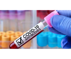 COVID Antigen & Antibody Testing - Travel Clinic Calgary | free-classifieds-canada.com - 3