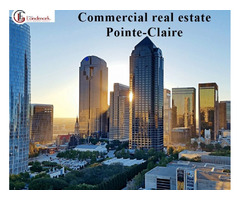 Landmark Realties -commercial property for sale in Montreal | free-classifieds-canada.com - 1
