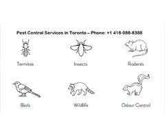 Pest and Animal Control Services in Markham | free-classifieds-canada.com - 2