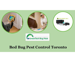 Bed Bug Exterminators in Burlington | free-classifieds-canada.com - 2