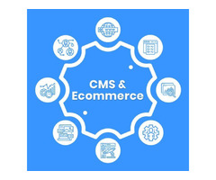 Best CMS and eCommerce development Services in Canada | Bevolve | free-classifieds-canada.com - 1