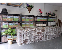 Coco peat, Perlite, Epsom Salt, Planters Pots, Planters Grow Bag and Vases  | free-classifieds-canada.com - 1