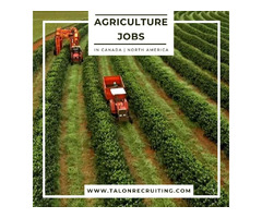 Agriculture Job In Canada | North America  | free-classifieds-canada.com - 1