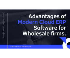 Economical Cloud ERP Software For Wholesale Business | free-classifieds-canada.com - 1