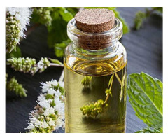 Peppermint Oil now Available for sale in Canada | free-classifieds-canada.com - 1