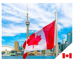 Canada Self Employed Visa Program | Kennedy Immigration | free-classifieds-canada.com - 3